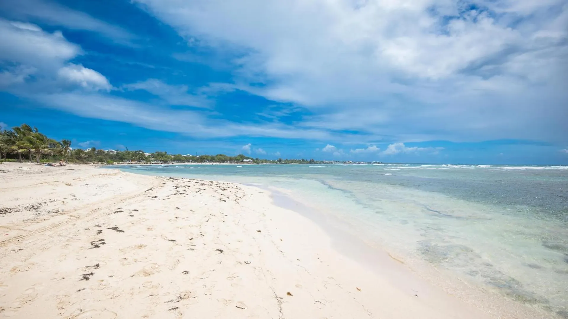 Guadeloupe 5 Etoiles Front De Mer Renove 2025 圣弗朗索瓦