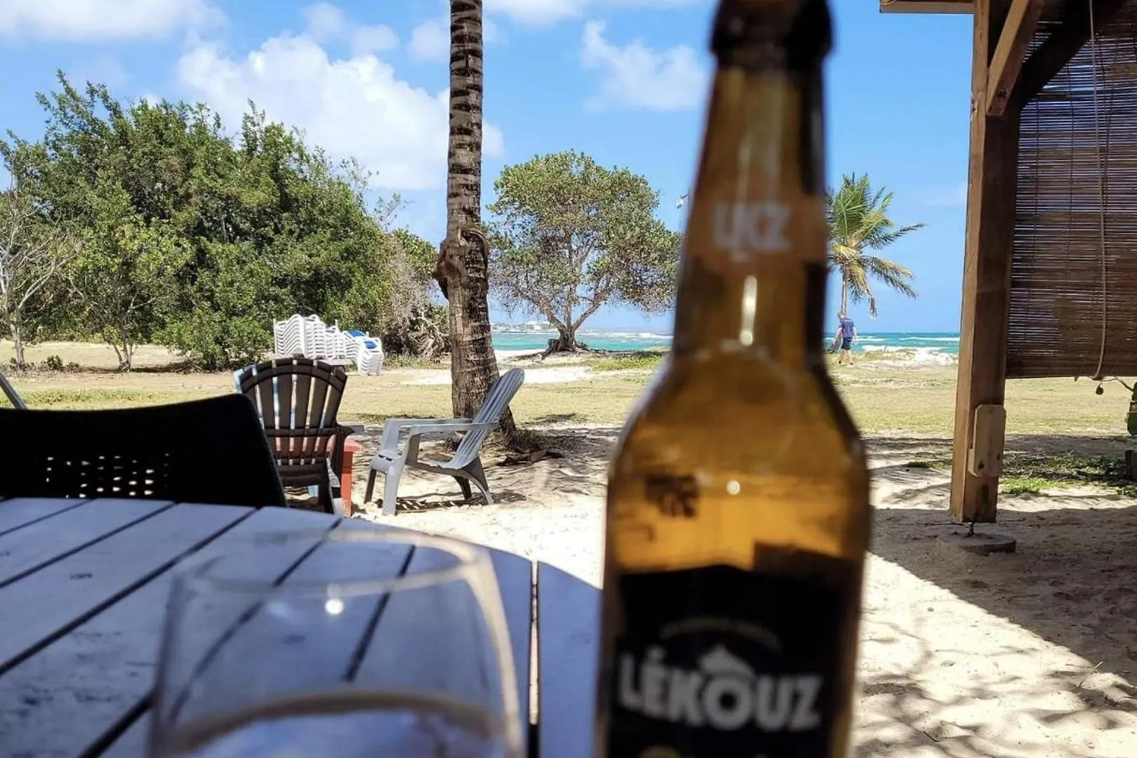 公寓 Guadeloupe 5 Etoiles Front De Mer Renove 2025 圣弗朗索瓦 瓜德罗普